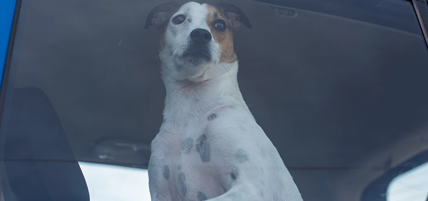 Car Lockout Solutions in San Francisco, California